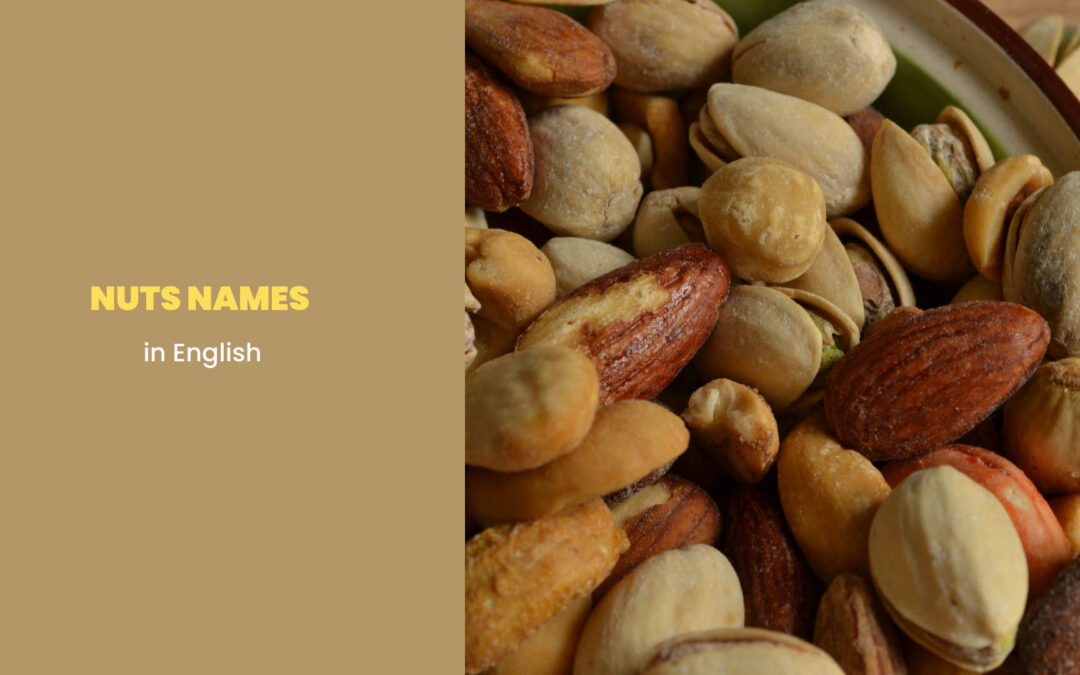 Dry Fruit Names in English: Useful Vocabulary Words