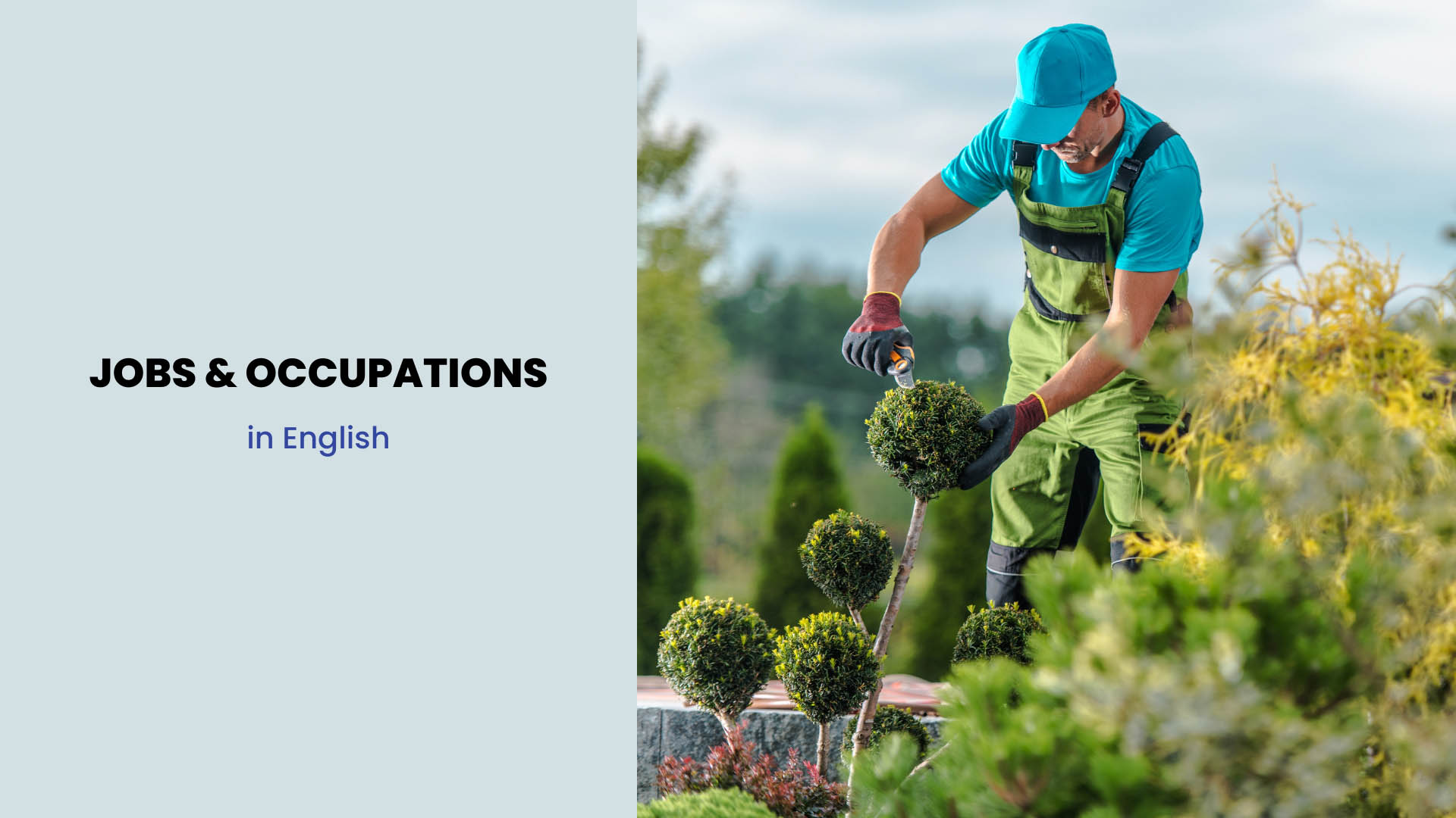 Jobs and Occupations Names in English