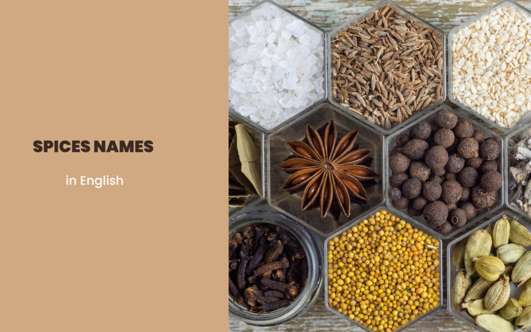 Spices Names in English: List of Useful Spices Vocabulary