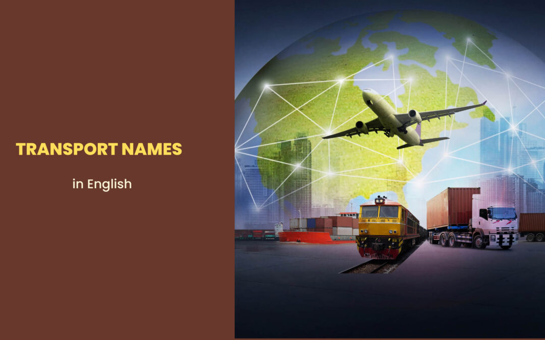 The Important Transport Names in English: Vocabulary